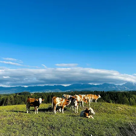 Langegger Alm - Almhuette * Bernbeuren