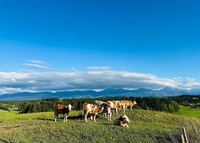 Langegger Alm - Almhuette * Bernbeuren